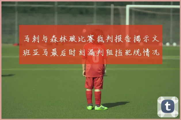 马刺与森林狼比赛裁判报告揭示文班亚马最后时刻漏判阻挡犯规情况