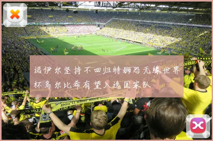 诺伊尔坚持不回归特狮恐无缘世界杯乌尔比希有望入选国家队
