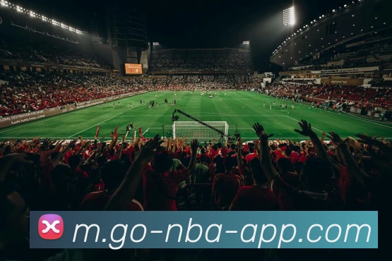 NBA买球网站平台生态图