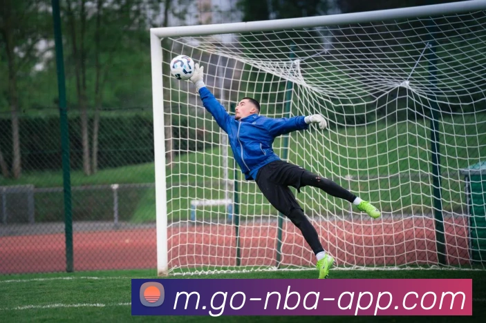 NBA买球网站APP 封面图